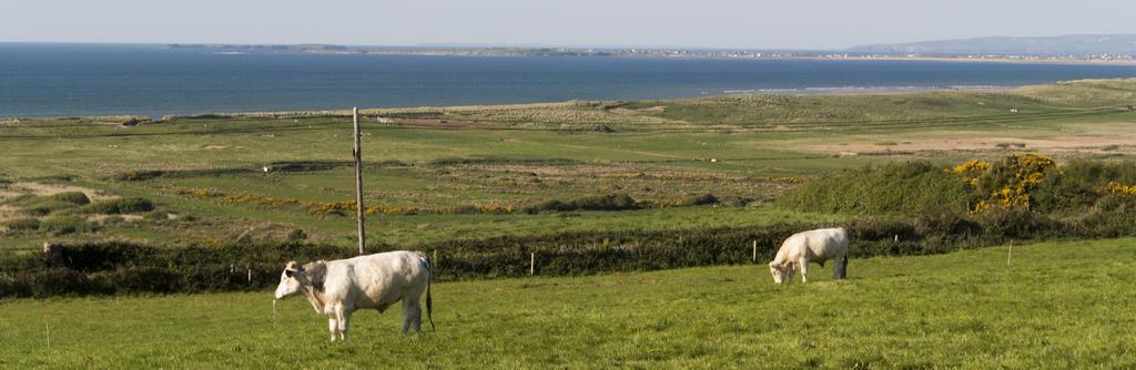 Fort Farmhouse B&B Castlegregory Eksteriør billede
