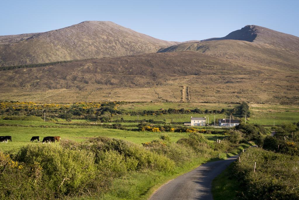 Fort Farmhouse B&B Castlegregory Eksteriør billede